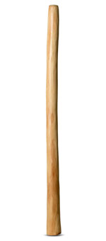 Medium Size Natural Finish Didgeridoo (TW782)